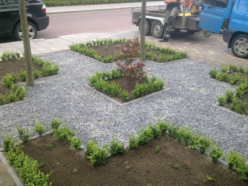 Voortuin met net geplante buxushagen in patroon